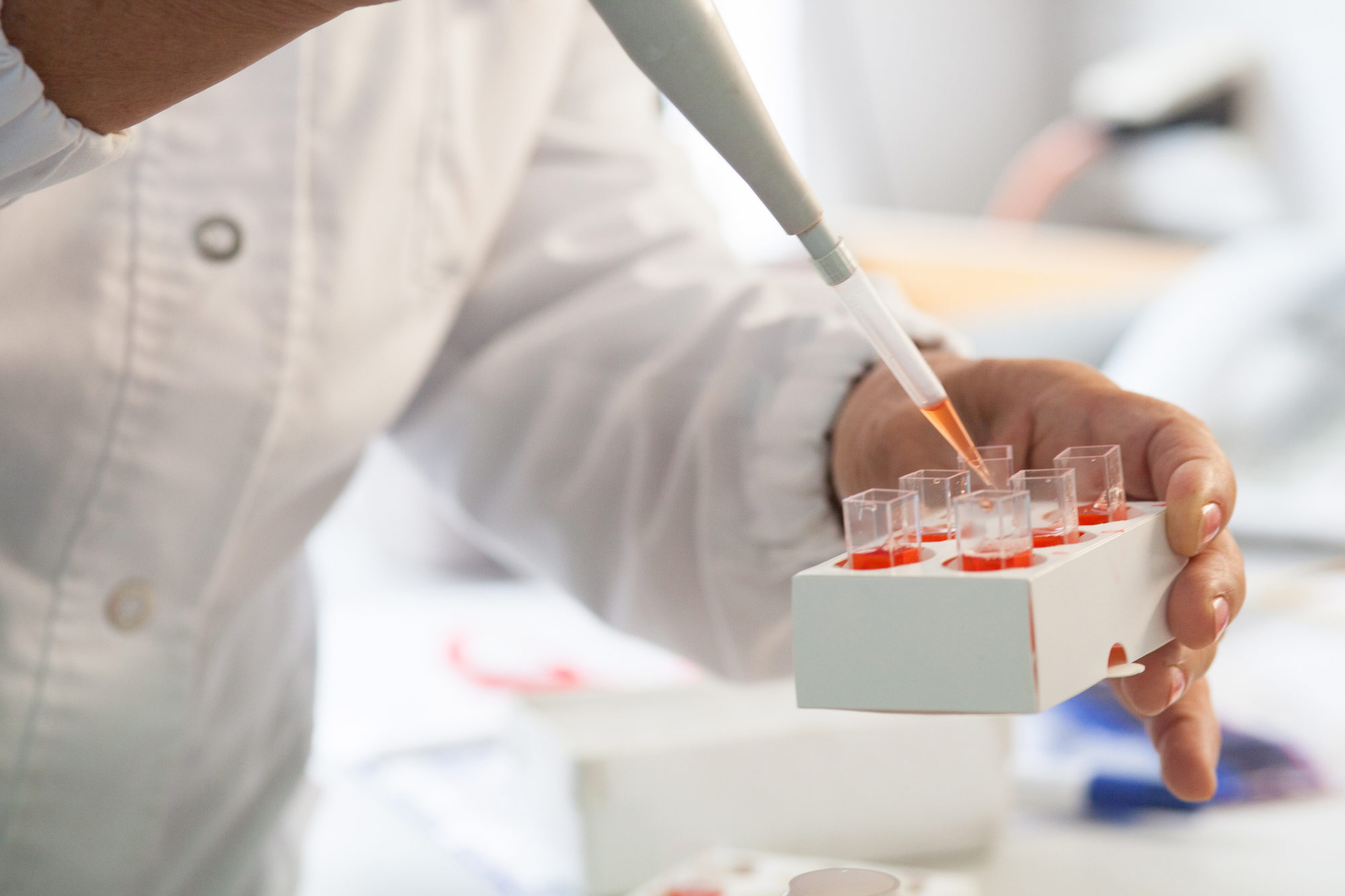 Laboranalyse des angelieferten Getreides